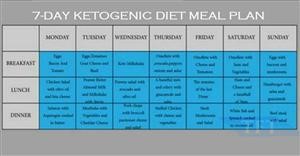 Ketogenic Diet Pdf Free Download
